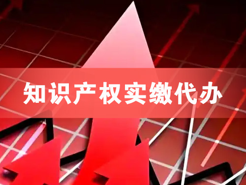 邵武知识产权实缴资本代办